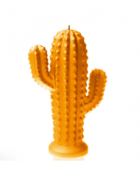 Świeca Cactus Orange Small