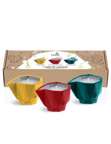 Wkłady Zapachowe Fruits of Summer