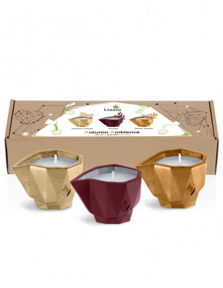 Wkłady Zapachowe Autumn Ambience