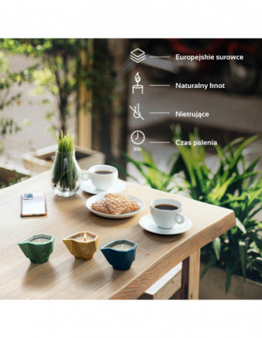 Wkłady Zapachowe Anti-Mosquito