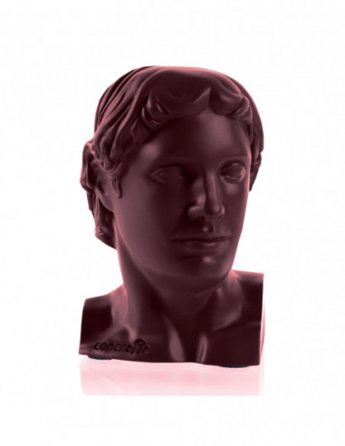 Podpórka do książek Hermes Maroon Poli