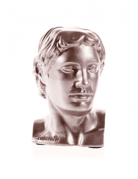 Podpórka do książek Hermes Rose Gold Poli