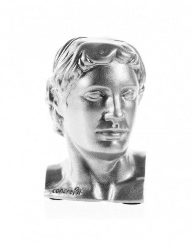 Podpórka do książek Hermes Silver Poli