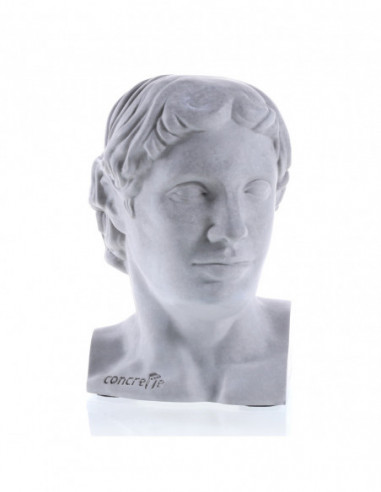 Podpórka do książek Ha Ha Hermes...