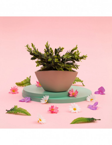 Misa Smooth Candy Pink Poli