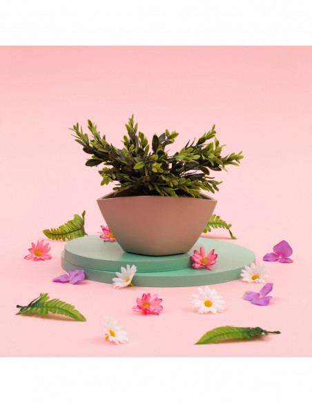 Misa Smooth Rose Gold Poli