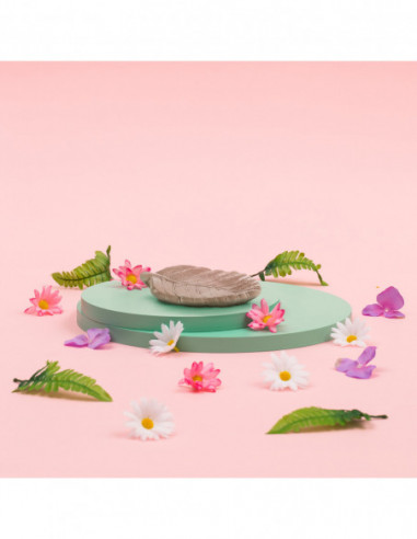 Patera Home of Nature Unpainted