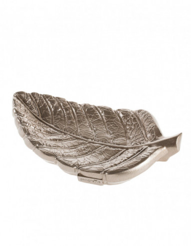 Patera Home of Nature Brass Poli