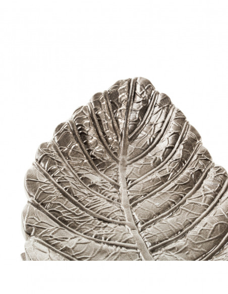 Patera Home of Nature Brass Poli