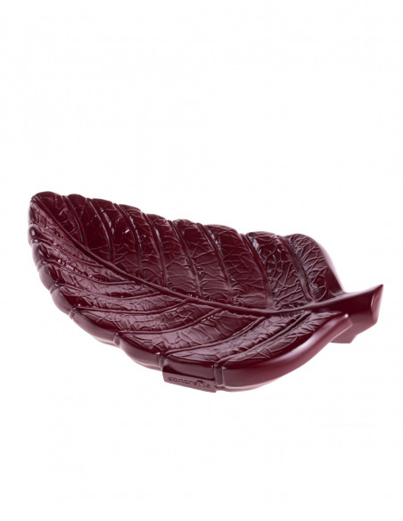 Patera Home of Nature Maroon Poli