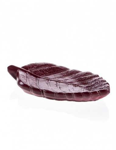 Patera Home of Nature Maroon Poli
