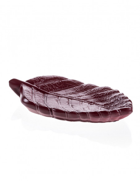 Patera Home of Nature Maroon Poli