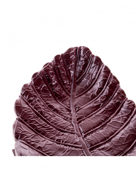 Patera Home of Nature Maroon Poli