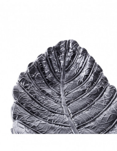 Patera Home of Nature Steel Poli