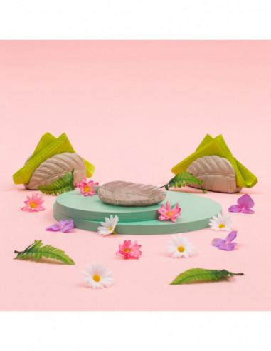 Patera Home of Nature Steel Poli