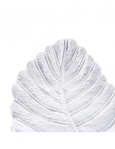 Patera Home of Nature White Poli