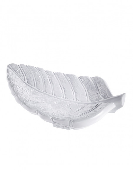 Patera Home of Nature White Poli