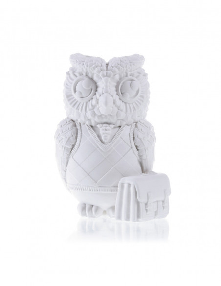 Kolorowanka 3D Funny Owl
