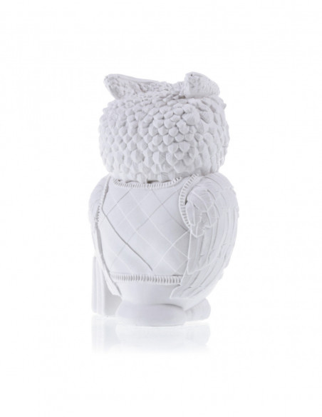 Kolorowanka 3D Funny Owl