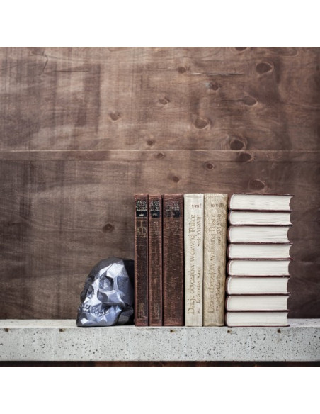 Podpórka do książek Skull Low-Poly Midnight Gray Poli