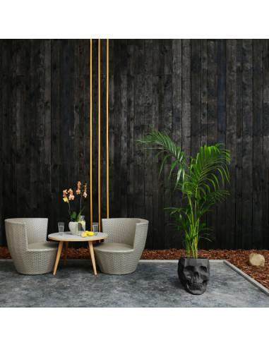 Donica Skull Low-Poly Black Matt Poli...