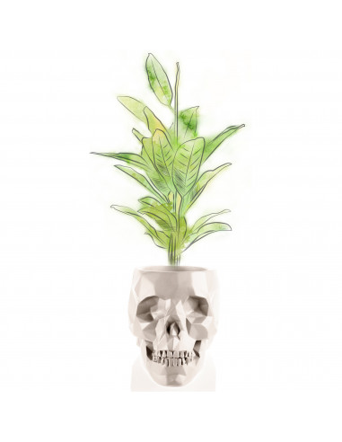 Donica Skull Low-Poly Light Beige...