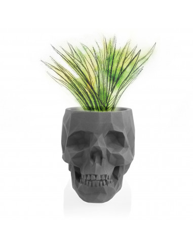 Donica Skull Low-Poly Unpainted  11 cm