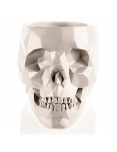 Donica Skull Low-Poly Light... 2