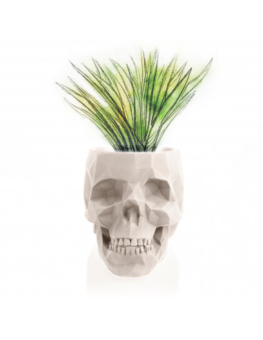 Donica Skull Low-Poly Light Beige...