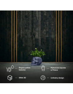 Donica Skull Low-Poly...