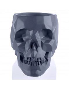 Donica Skull Low-Poly... 2
