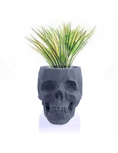 Donica Skull Low-Poly Midnight Gray...