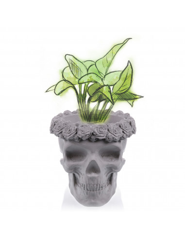 Donica Skull Flowers Unpainted  11 cm