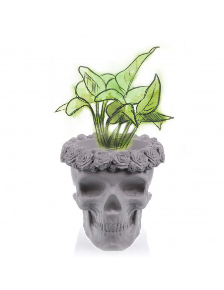 Donica Skull Flowers Unpainted  11 cm