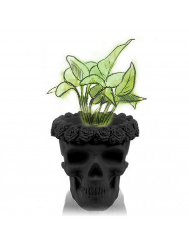 Donica Skull Flowers Black Matt Poli...