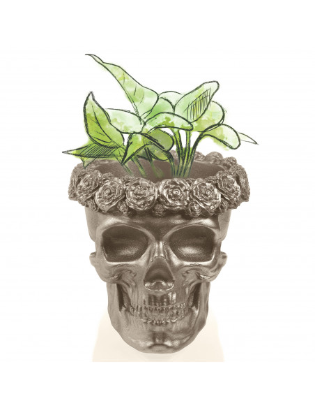 Donica Skull Flowers Brass Poli  11 cm