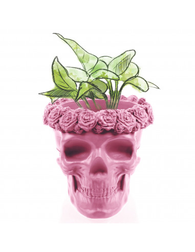 Donica Skull Flowers Candy Pink Poli...