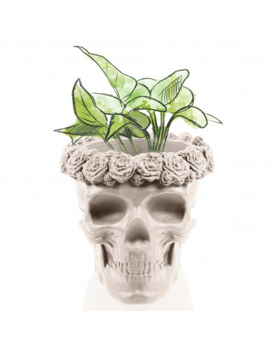 Donica Skull Flowers Light Beige Poli...