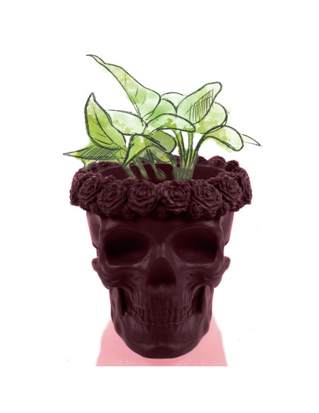 Donica Skull Flowers Maroon Poli  11 cm