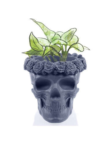 Donica Skull Flowers Midnight Gray...