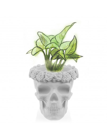 Donica Skull Flowers White Poli  11 cm