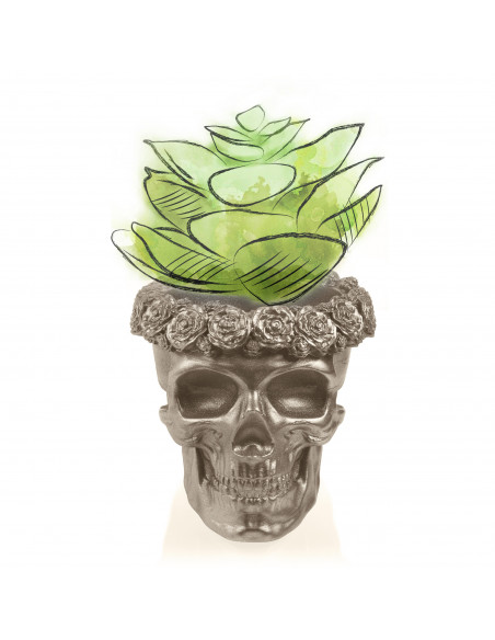 Donica Skull Flowers Brass Poli  9 cm