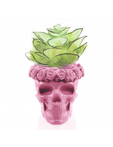 Donica Skull Flowers Candy Pink Poli...