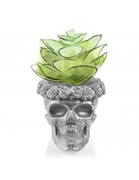 Donica Skull Flowers Silver Poli  9 cm