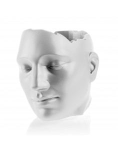 Donica Daydreamer White...