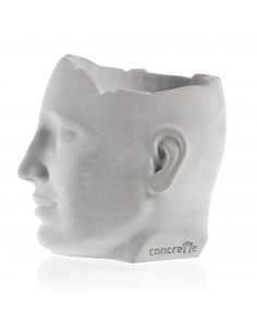 Donica Daydreamer Unpainted... 2