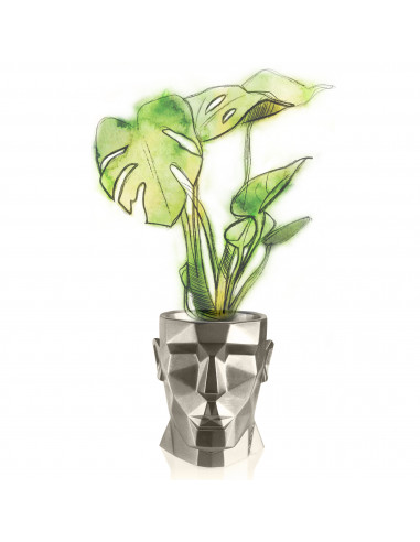 Donica Apollo Brass Poli 24 cm