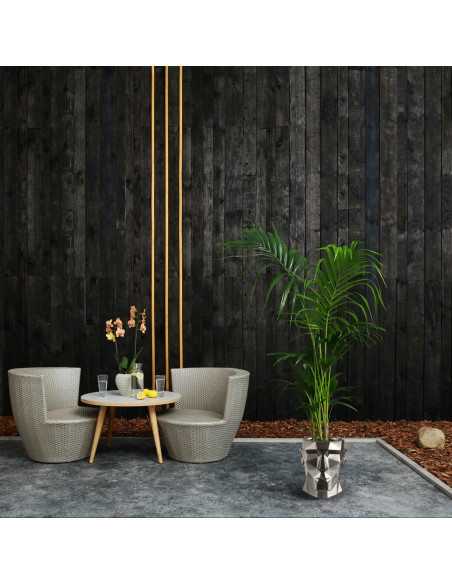 Donica Apollo Brass Poli 24 cm