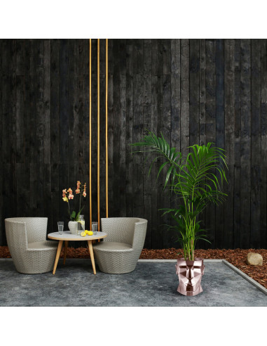 Donica Apollo Rose Gold Poli 24 cm