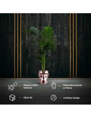 Donica Apollo Rose Gold Poli 24 cm